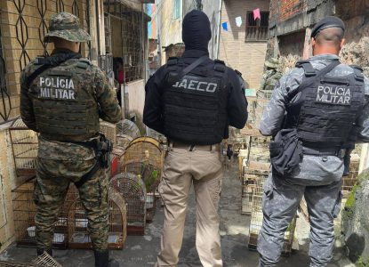 Ministério Público da Bahia denuncia integrantes da maior rede de tráfico de aves silvestres do Brasil