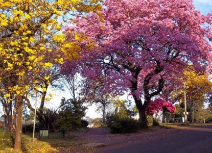 Primavera chega sob influência do El Niño com previsão de calor extremo e seca no Nordeste