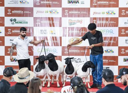 Leilão Ovinos Show movimenta mais de R$ 250 mil em noite de negócios na Expo Serrinha 2026