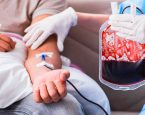 Testemunhas de Jeová revisam regras sobre doação de sangue em tratamentos médicos