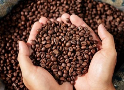 Bahia reforça liderança no Nordeste e projeta safra de café destaque em 2026