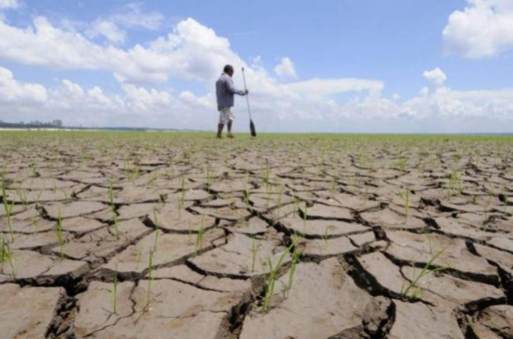 Área afetada pela seca na Bahia sofre recuo de entre março e abril de 2024