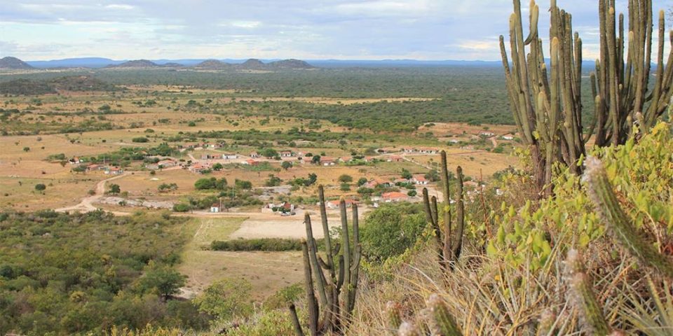 Caatinga é bioma predominante em 54% dos municípios baianos, diz IBGE