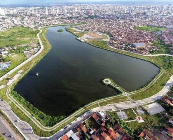 Feira de Santana está localizada em área de interbioma, com predominância da Mata Atlântica
