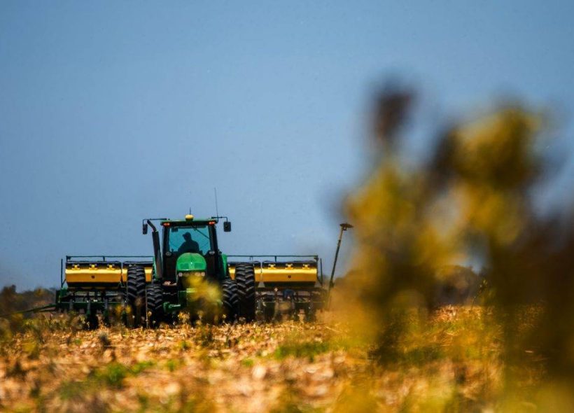 Estimativa de março mantém safra recorde de grãos na Bahia em 2026, 0,4% maior do que 2025