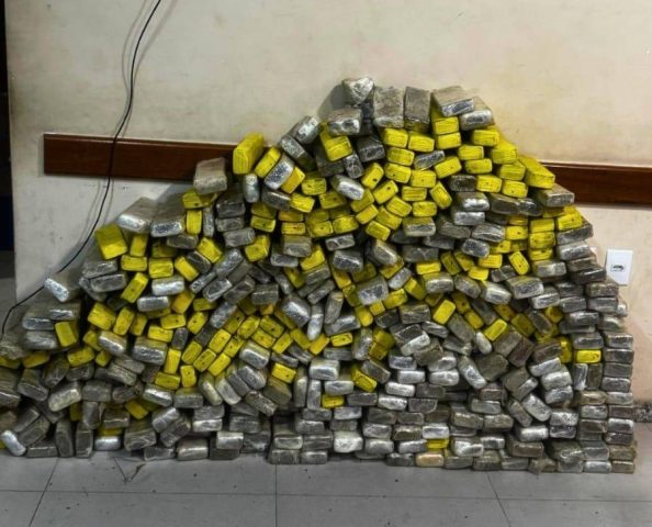 Polícia apreende cerca de 300kg de maconha escondidas em matagal na Bahia
