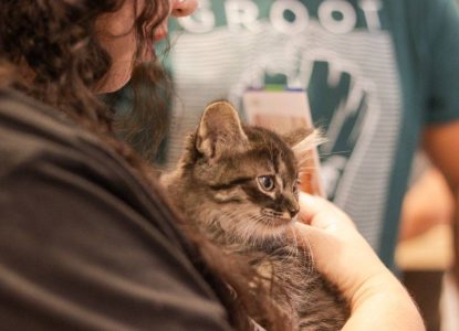 Shopping em Feira de Santana promove campanha de adoção de animais