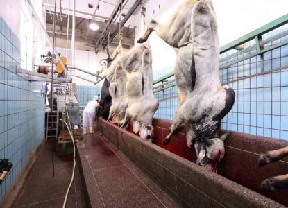 Preço da arroba do boi tem terceira alta seguida em Feira de Santana, segundo cooperativa