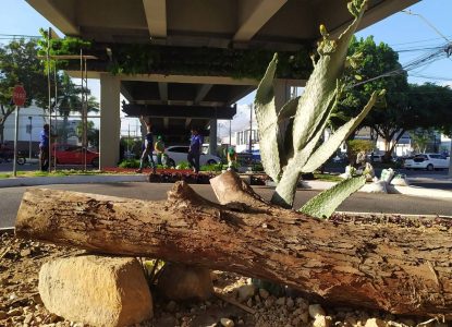 Viaduto entre avenidas Getúlio Vargas e João Durval Carneiro passa por requalificação