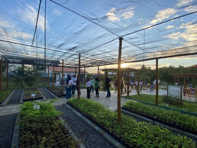 Embasa passa contar com novo espaço de plantio e doação de mudas em Feira de Santana