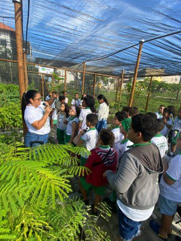Programação da Semana do Meio Ambiente em Feira de Santana segue até sexta, 6