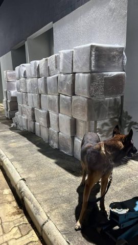 Operação entre Polícias na Bahia intercepta carga com seis toneladas de maconha na BR-116