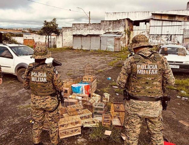 Crime ambiental: Polícia apreende aves silvestres e conduz suspeitos em Feira de Santana