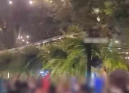 Cerca de 500 samambaias são furtadas em festival de música em São Gonçalo dos Campos