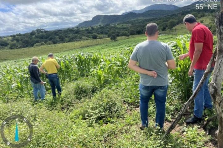 Fiscalização combate uso irregular de agrotóxicos com drones em propriedades rurais de Feira de Santana