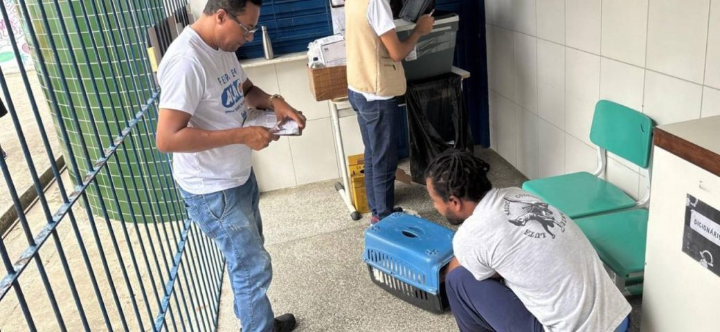 Vacinação de cães e gatos contra raiva em Feira de Santana neste sábado, 23