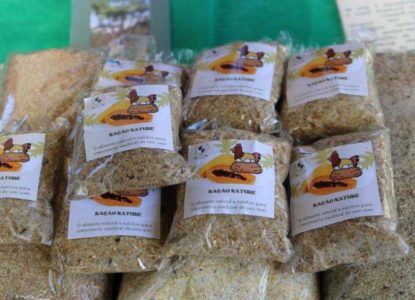 Ração para aves à base de caule é produzida por estudantes baianos