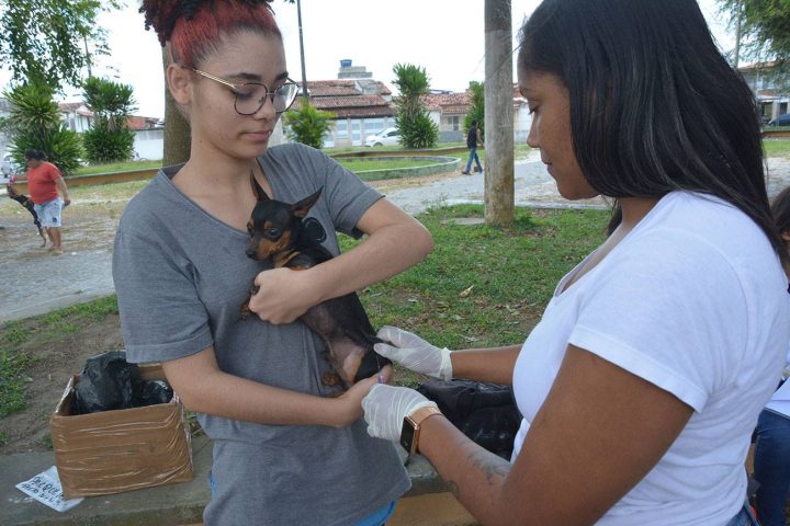 Vacinação contra raiva em cães e gatos começa na próxima segunda, 11, em Feira de Santana