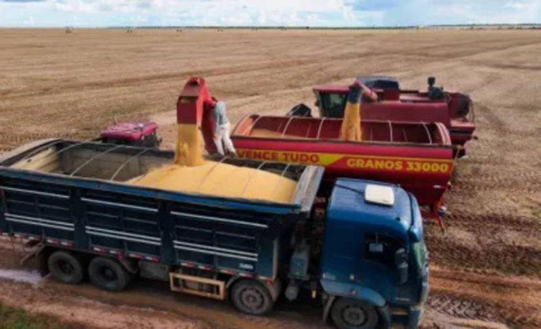 Sétima estimativa para safra baiana de grãos mantém produtividade recorde para 2025