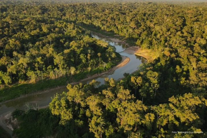 Mais proteção: Amazônia será 100% monitorada diariamente com implementação de novo sistema