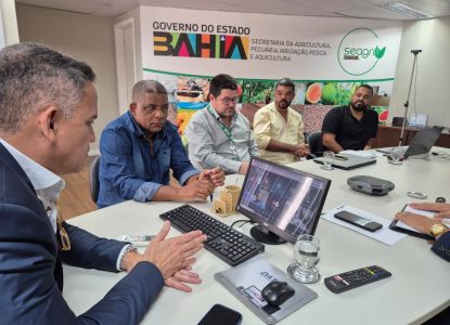 Bahia lidera produção nacional de sisal e alinha novas estratégias para setor