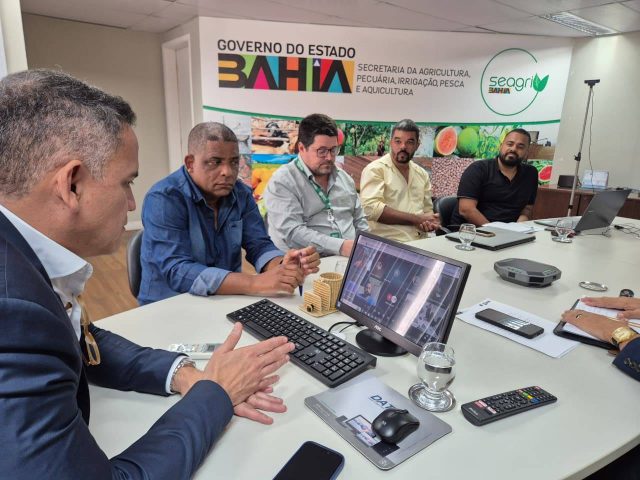 Bahia lidera produção nacional de sisal e alinha novas estratégias para setor