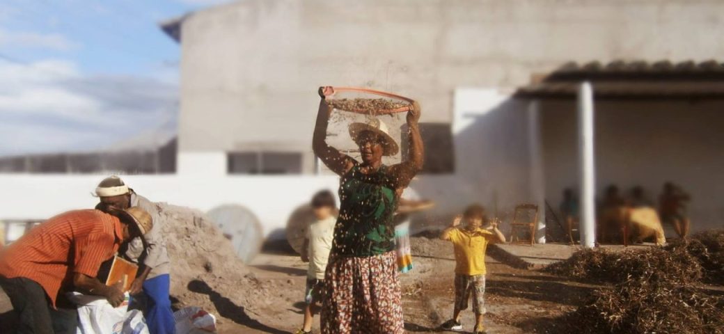 Tradicional bata do feijão acontece neste domingo, 7, em Feira de Santana