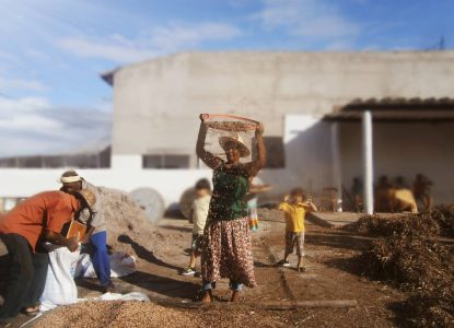 Tradicional bata do feijão acontece neste domingo, 7, em Feira de Santana