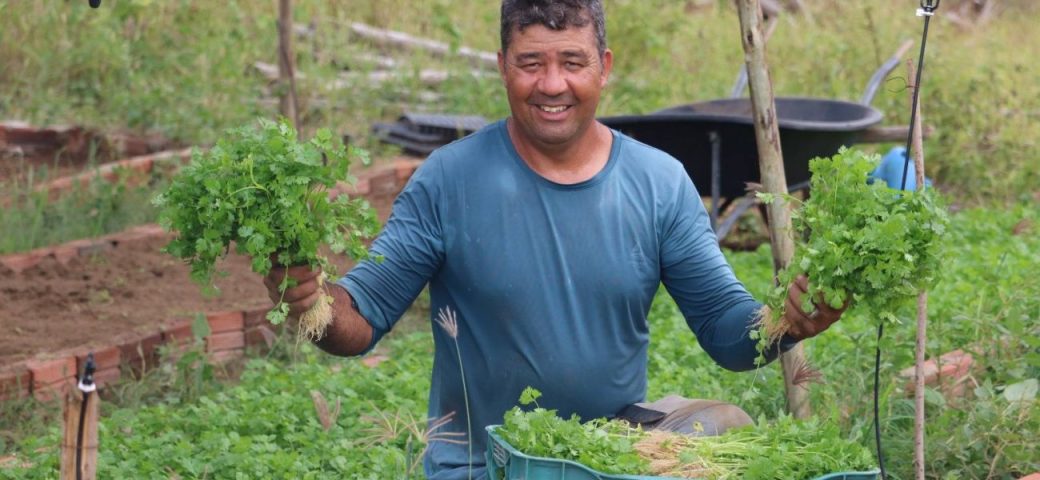 Do campo à mesa: por que reduzir agrotóxicos é uma questão de saúde pública