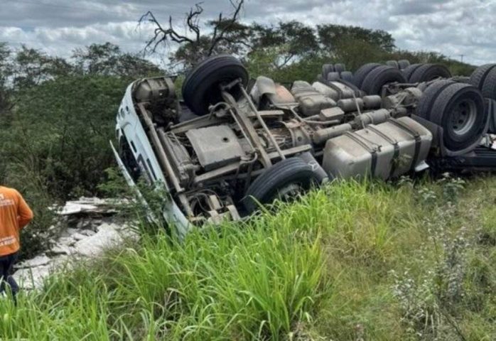 Carreta tomba em rodovia baiana após motorista ser atacado por abelhas