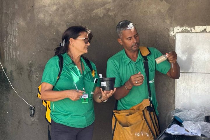 Feira de Santana registra melhora nos índices de combate ao mosquito aedes aegypti