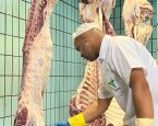 Preço da arroba do boi gordo mantém estabilidade em Feira de Santana