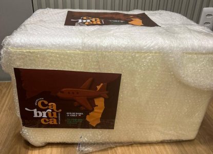 Consórcio baiano envia primeira leva de chocolates finos para o Chile