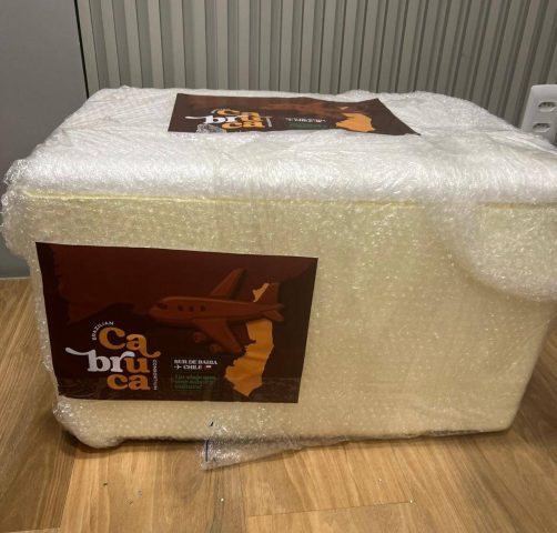 Consórcio baiano envia primeira leva de chocolates finos para o Chile 