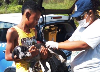 Vacinação antirrábica atinge 54% da meta em Feira de Santana com mais de 31 mil animais imunizados