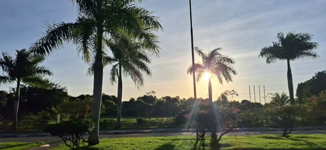 Brinca Feira: Parque da Cidade será palco de grandes atrações para Dia das Crianças neste domingo, 12