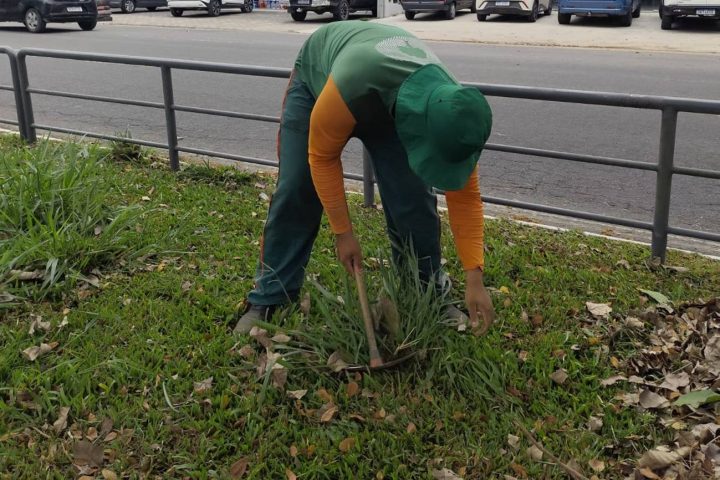 SESP retira ervas daninhas para recuperar gramados de avenidas de Feira de Santana