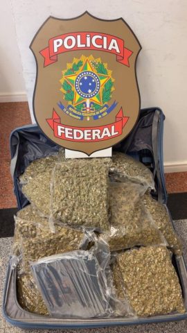 Polícia Federal já apreendeu 68kg de drogas durante abordagens no aeroporto de Salvador