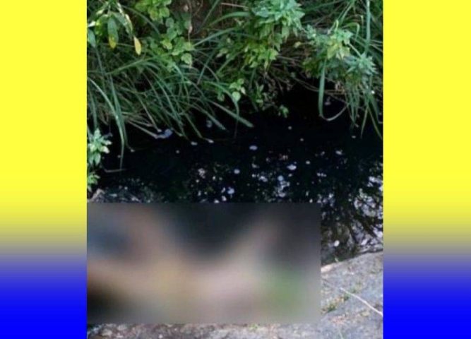 Corpo é localizado em região de mata no bairro Nova Esperança, em Feira de Santana