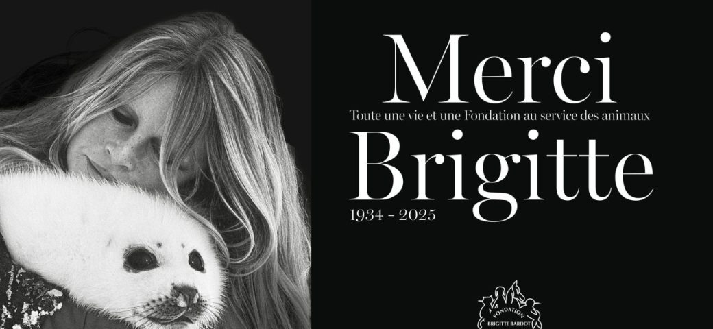 Morre, aos 91 anos, atriz Brigitte Bardot, musa do cinema francês