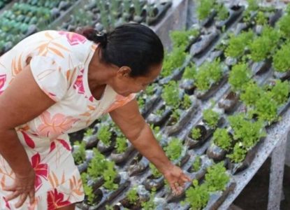 Em parceria com multinacional, governo da Bahia inaugura horta sustentável em Feira de Santana