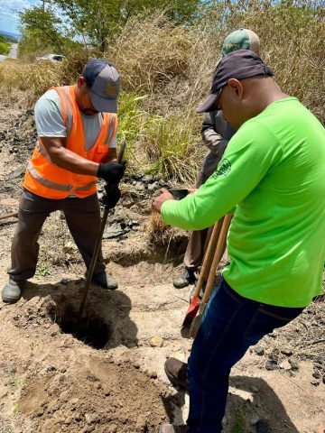 Estudos marcam avanço na requalificação da BA-499 entre Antônio Cardoso e BR-116