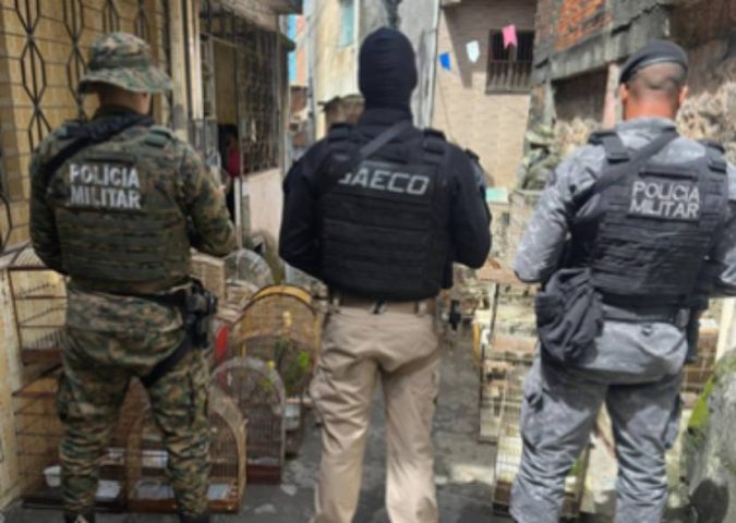 Sete integrantes da maior rede de tráfico de aves do país são condenados à prisão