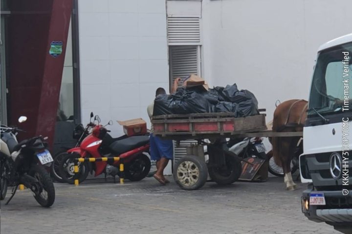 Delicatessen da Avenida Fraga Maia é multada após fiscalização flagrar descarte irregular
