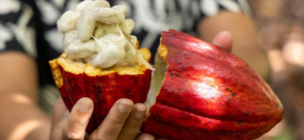 Com proximidade da Páscoa, preço dos chocolates dispara e pressiona inflação