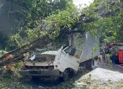Árvore cai sobre caminhão e deixa dois mortos na BR-415