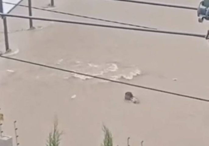 Sinal de celular de mulher desaparecida em enxurrada é rastreado em Vitória da Conquista