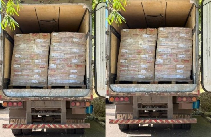 Caminhão com 25 toneladas de salsicha vencida é apreendido na BR-324