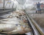 Tradicional Feira do Peixe, em Serrinha, será realizada na quinta, 2, em novo local