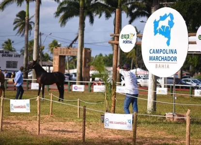 Expoportal 2026 acontece de 05 a 07 de junho em Feira de Santana